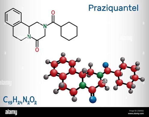 praziquantel